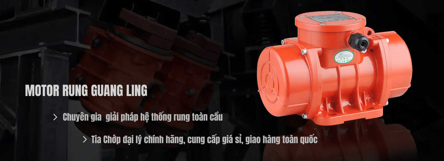 Cung Cấp Motor Rung GuangLing Chính Hãng